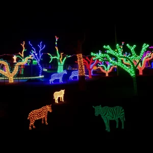 Columbia's Riverbanks Zoo Unveils Spectacular Wild Lights Event for the Holiday Season