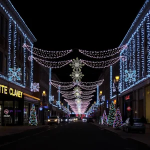 Columbia Shines Bright with Holiday Festivities and Enchanting Light Displays